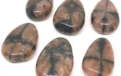 chiastolite (andalousite)