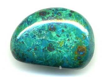 chrysocolle