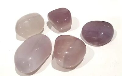 fluorite rose