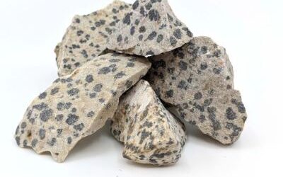 jaspe dalmatien