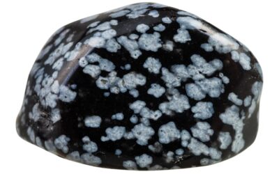 obsidienne flocon de neige